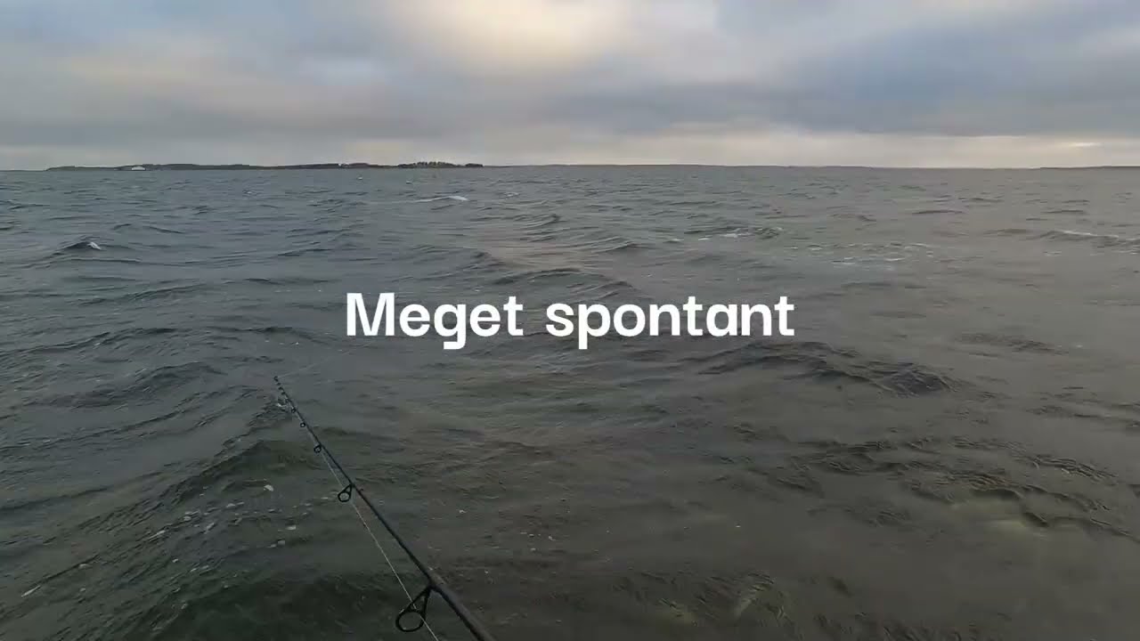 SKF Ørreddag Lørdag d  18 oktober 2025