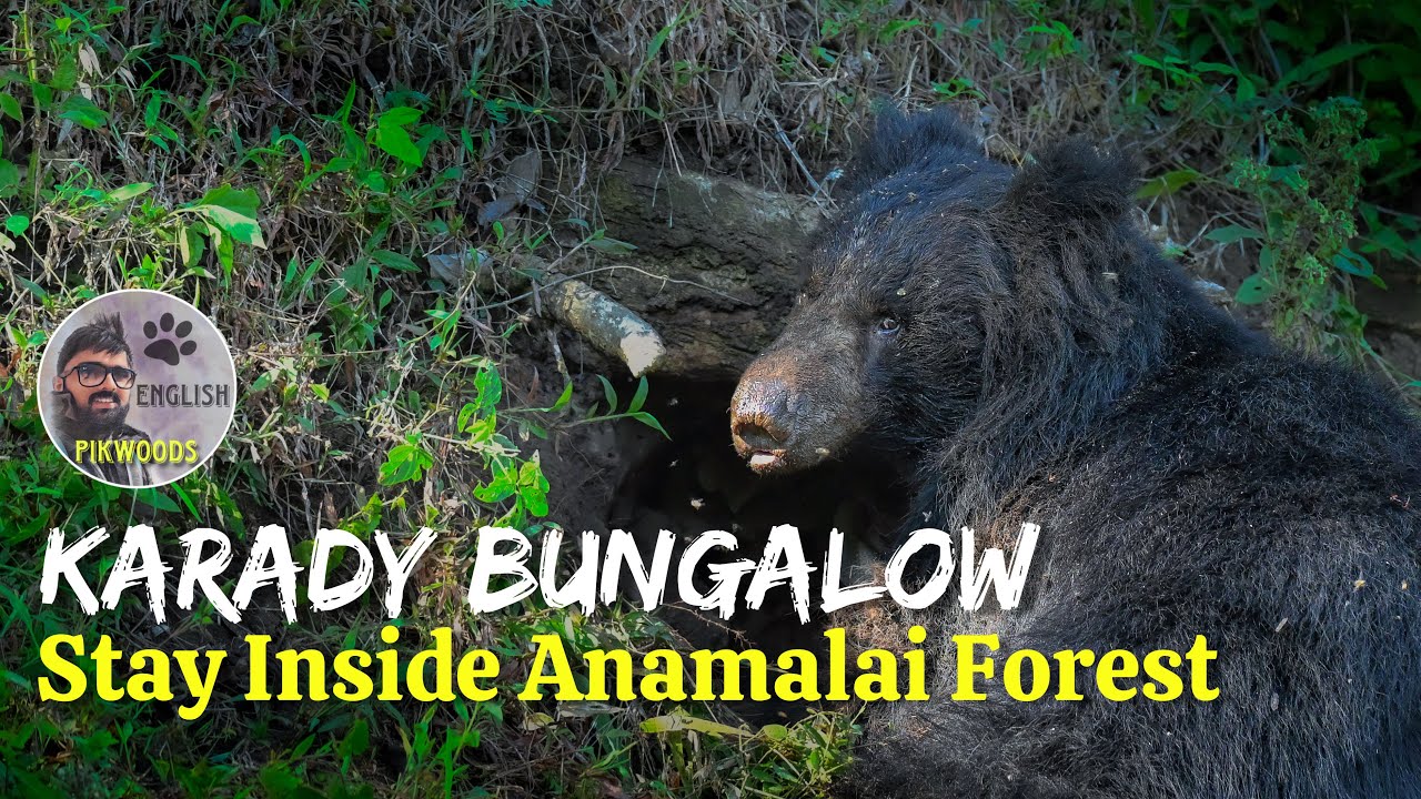 Ambuli Illam in Anamalai National Park | Tamilnadu Forest Safari | English version of Pikolins