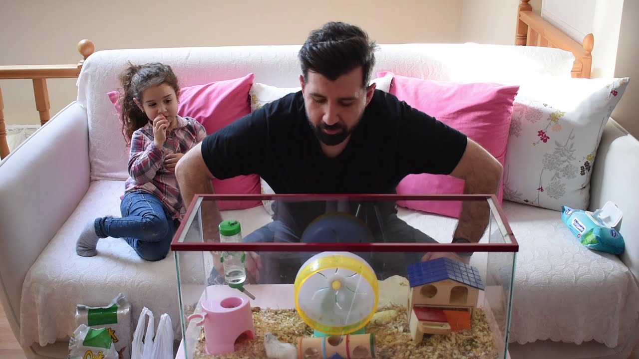 Hamster Kafes Temizliği Nasıl Yapılır ? Nelere Dikkat Etmeliyiz ?  Kafes D&uuml;zeni Nasıl Olmalı.. ?