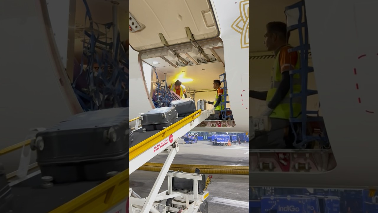 Cargo loading on aircraft #baggage #cargohold #aviation