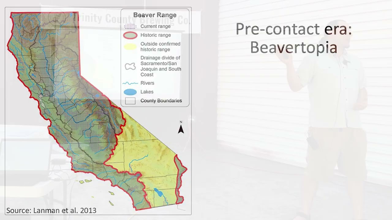 Northwest California Beavers in Motion: Past, Present, and Future