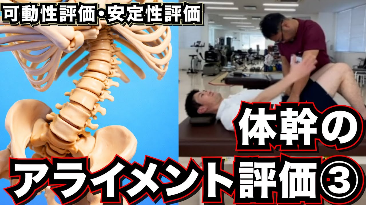 体幹機能を高める評価と介入の考え方　#セミナー, #セラピスト, #リハビリ, #神経痛, #リハビリ, #解剖学, #柔道整復師, #治療
