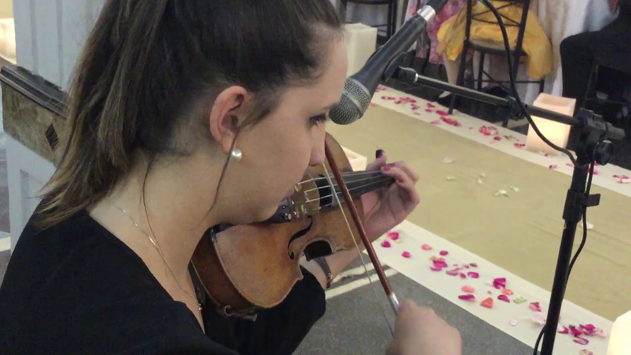 Save the best for last violin violinart