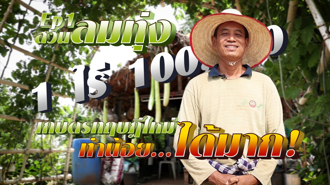 เกษตรทฤษฎีใหม่ 1ไร่ 1แสน (ทำน้อยได้มาก) #เกษตรอารมดี