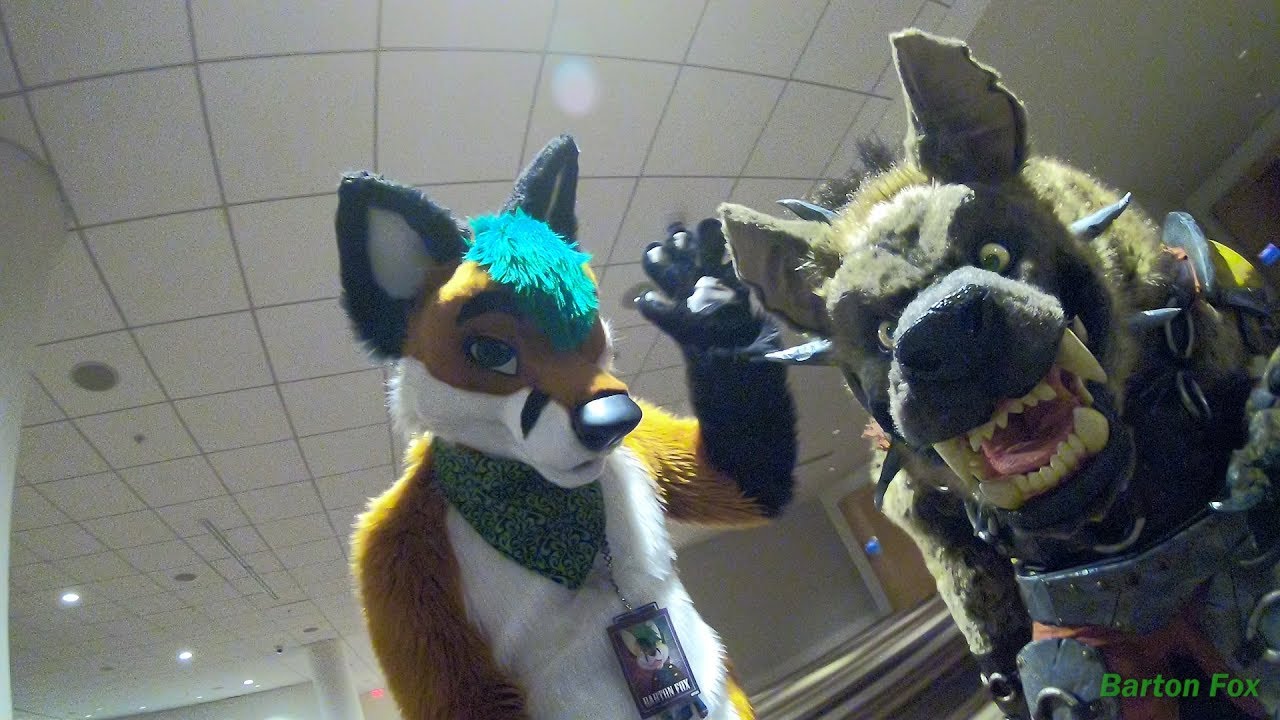Furry Weekend Atlanta 2018 - Random Clips