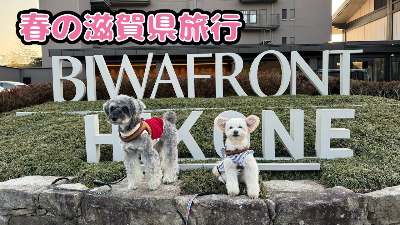 【ペットと泊まれる】蒼の湖邸ビワフロント彦根にお泊まり!ペットといちご狩り&お買い物