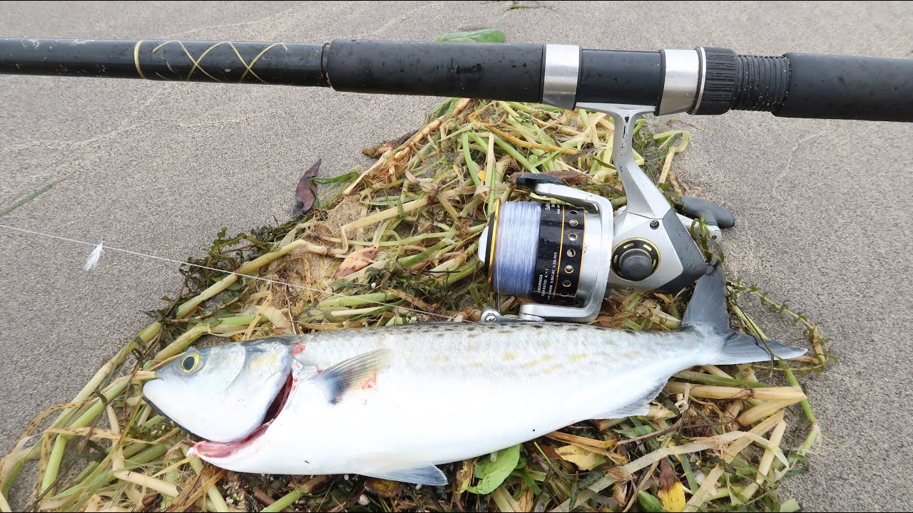Catch and Cook-  Smoked Fish & Raw Fish