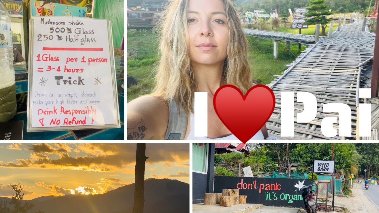 Hippie Paradise Pai♥️ Things to do in this mountain town & buying magic mushrooms 🍄