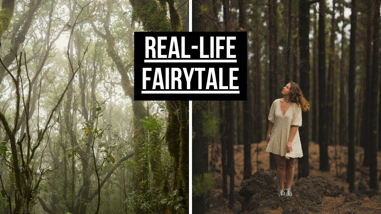 We Entered Tenerife’s Most Magical Forest | Anaga’s Dark Fairytales