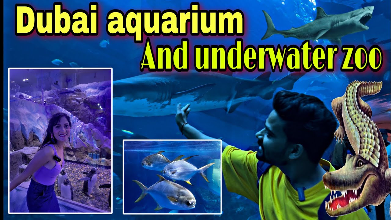 DUBAI Aquarium & Underwater zoo |Day-1 part-2 #varshasinghrajput #dubaivlog #neeteshpraliya