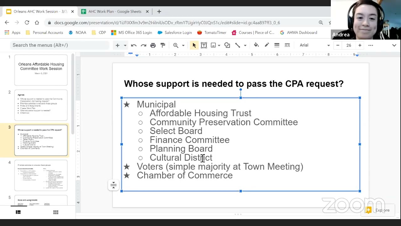 Affordable Housing Committee   March 3, 2021