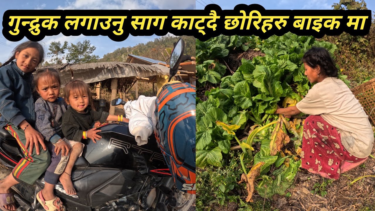 गुन्द्रुक लगाउनु साग काट्दै छोरिहरु अरुको बाइक मा च्ड्दै #nismavlog #ruralvillagenepal #villagerli