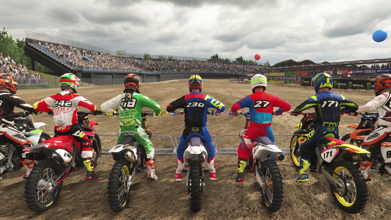 MXGP 2 - World Championship - Round 16 - Assen (GP)