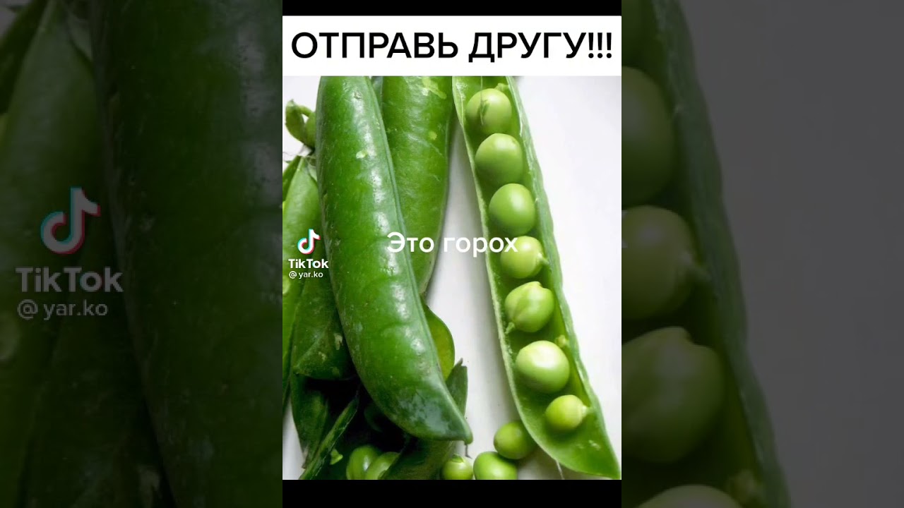 это мох а ты лох