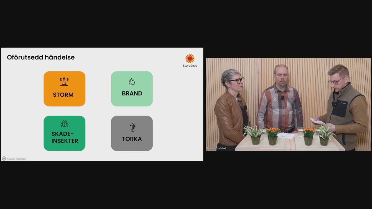 Webinar för skogsägare: Så skyddar du din skog mot storm, brand och skador