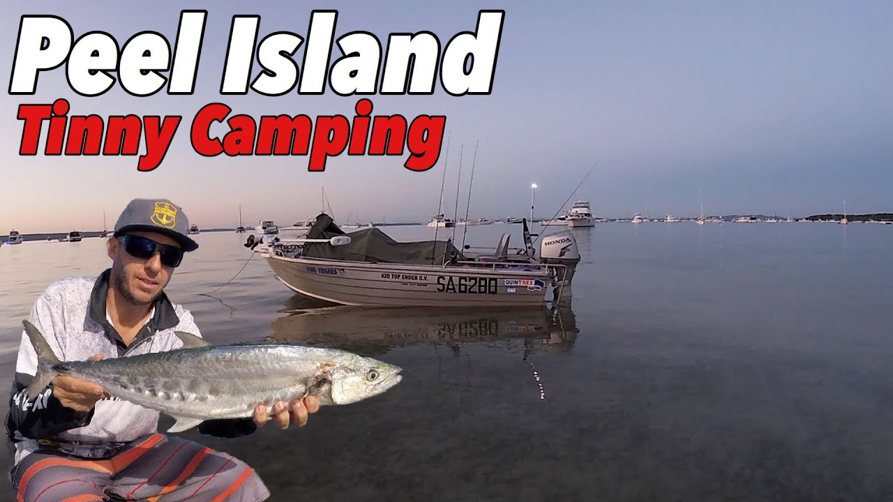 SOLO TINNY CAMPING EXPEDITION - Fishing for food in Moreton Bay - Bonito catch and cook