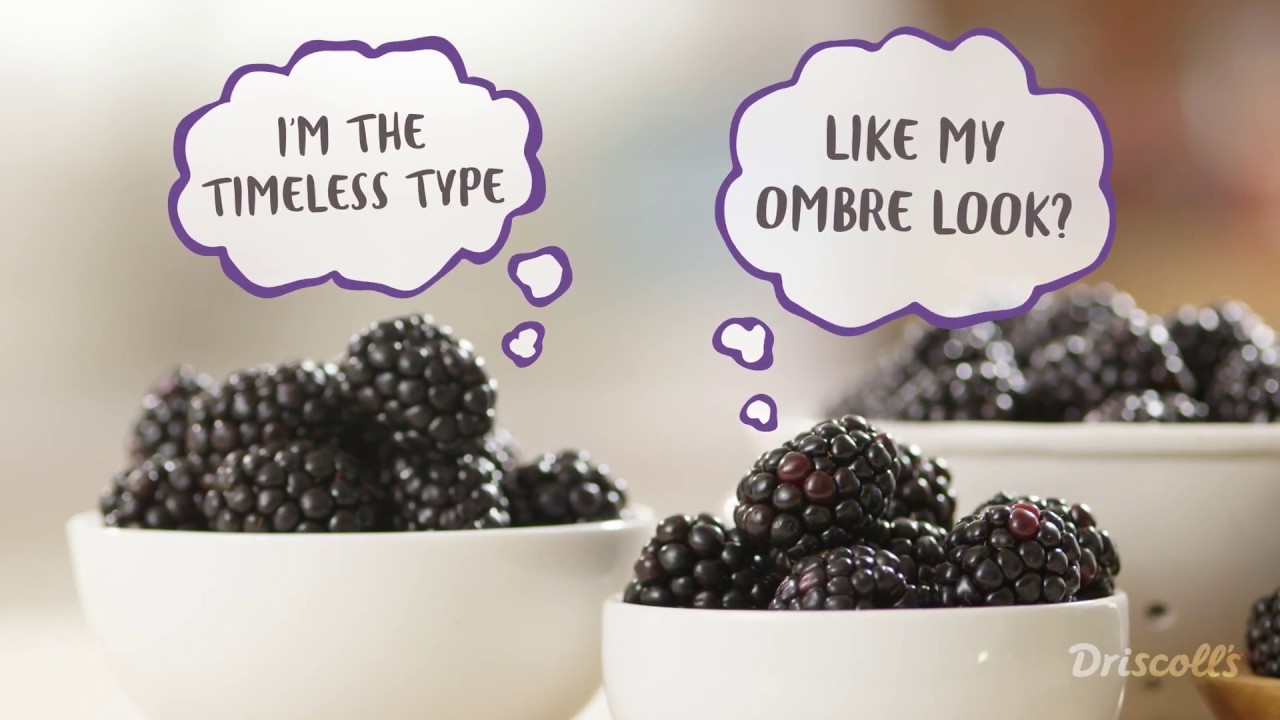 How to Freeze Blackberries & Proper Care by Driscoll&rsquo;s Berries