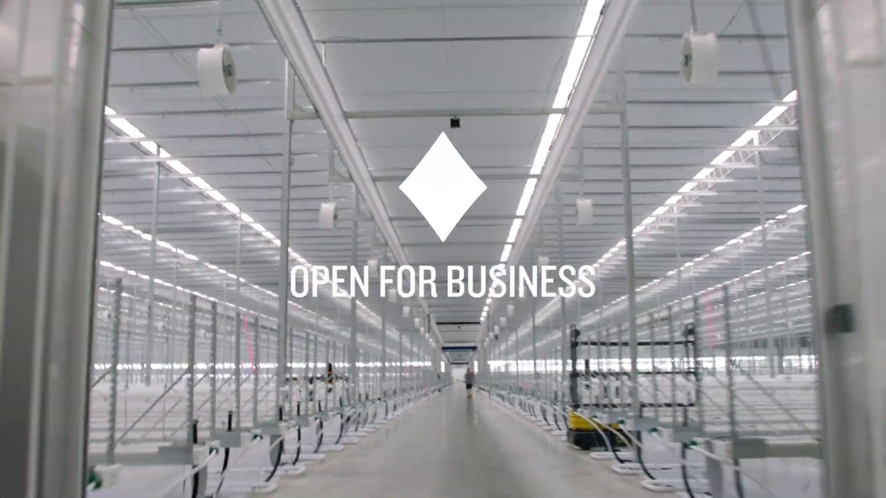 Aphria Diamond Approved