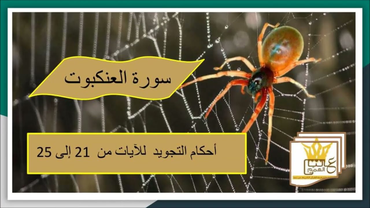 سورة العنكبوت : شرح أحكام التجويد للآيات من 21 إلى 25