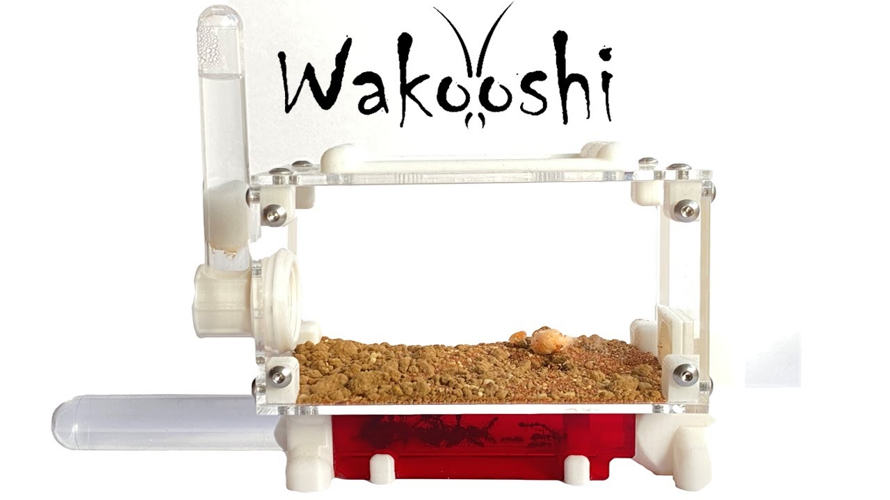 WaKooshi | Mercury Nest