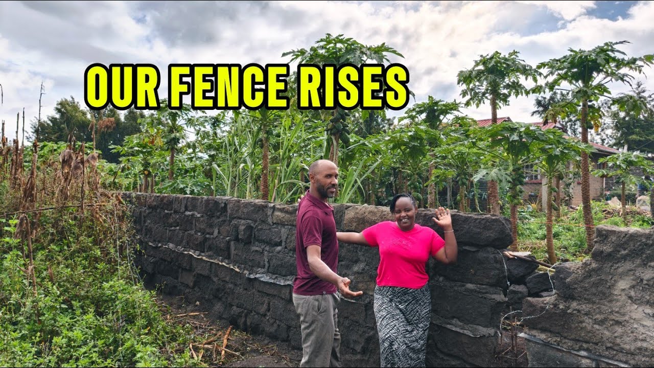 Life in an African Village 🧱 | Hard Work Building Our Fence & Cooking for the Masons