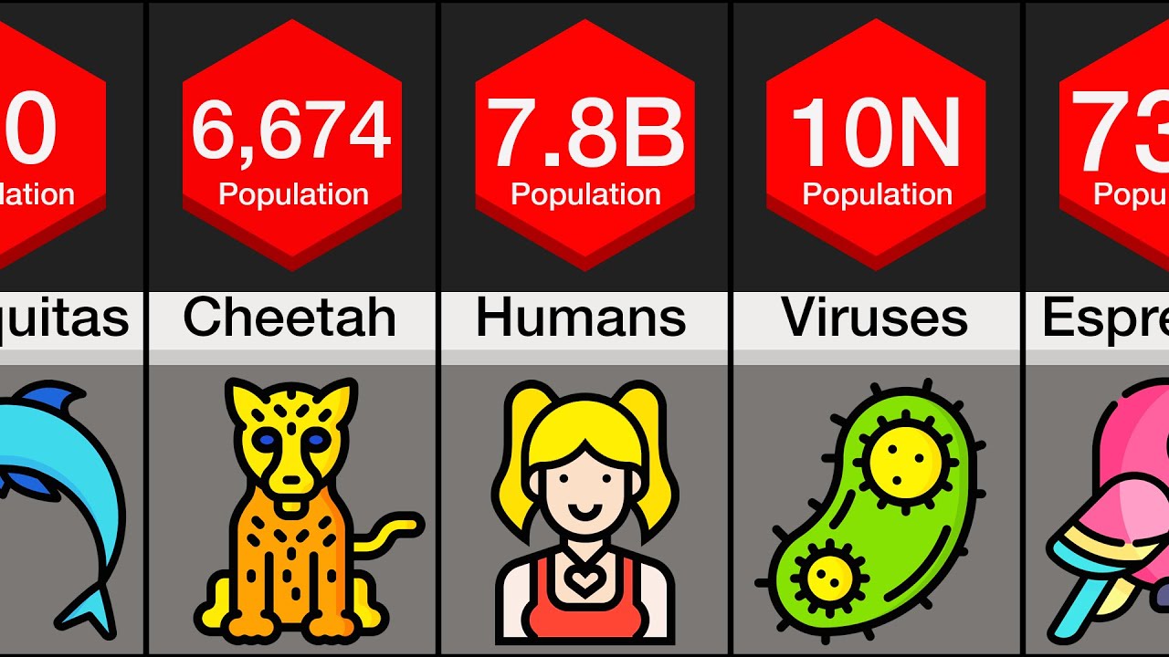Comparison: Animal Populations