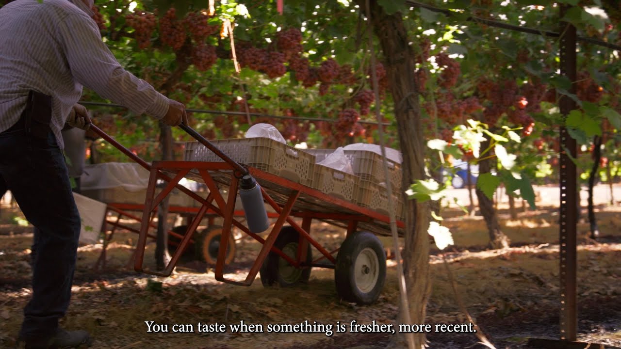 California Goodness:  Quality You Can Taste