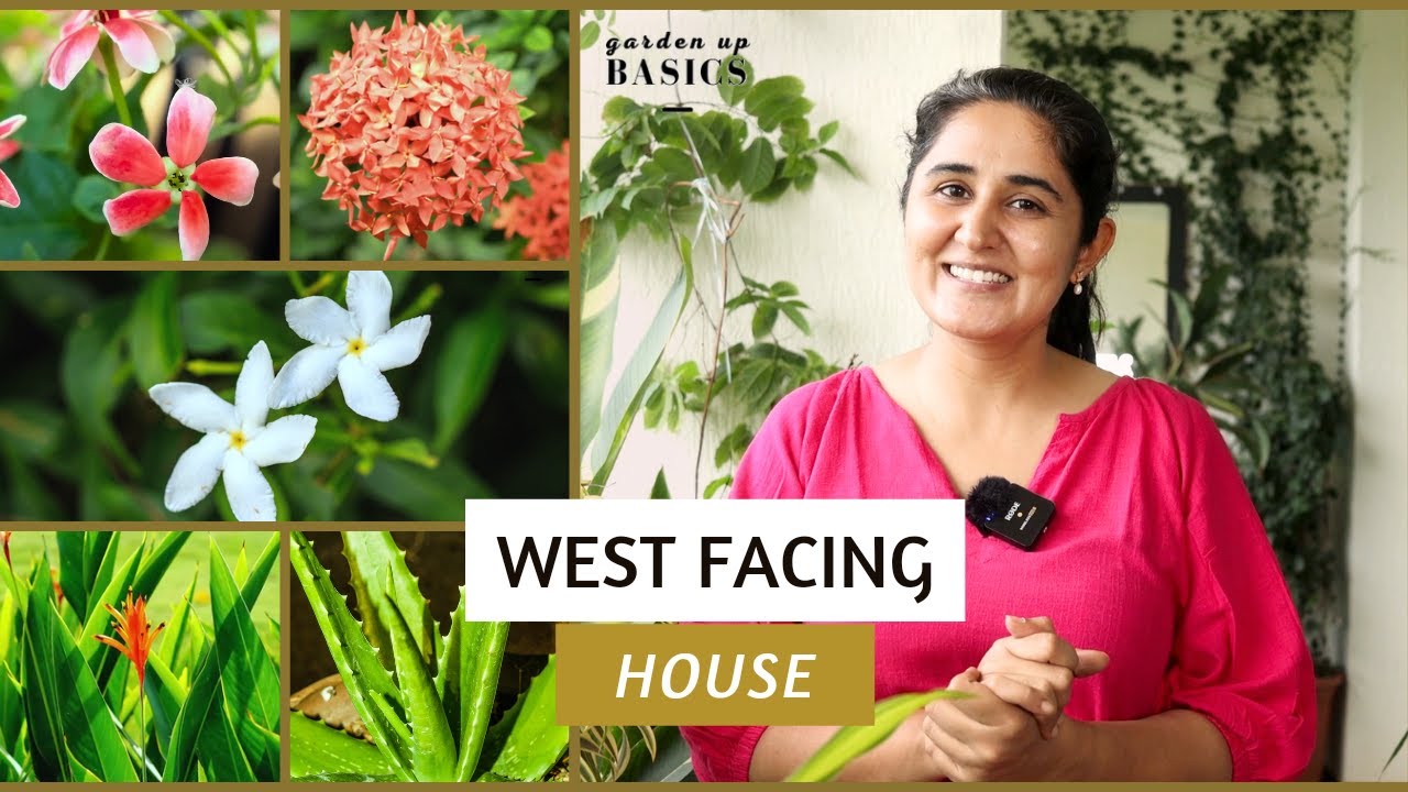 Plants for West / Southwest Facing House | Garden Up Basics Ep.37