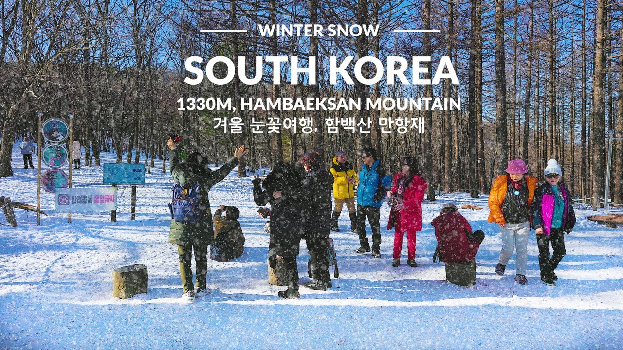 함백산 만항재, 해발 1330m 고지대  눈꽃 설원을 푹푹 밟으며 폭설 워킹투어, 서울여행워커