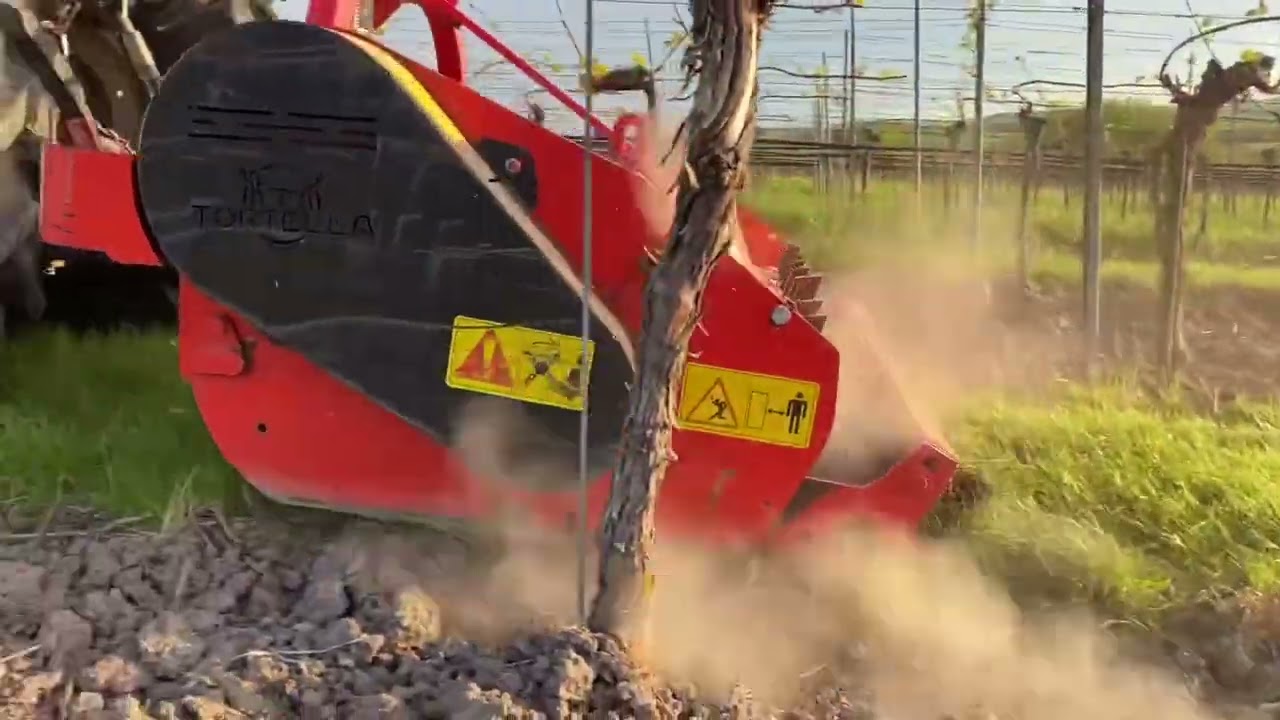 Steyr 8065 As und Tortella Mulcher