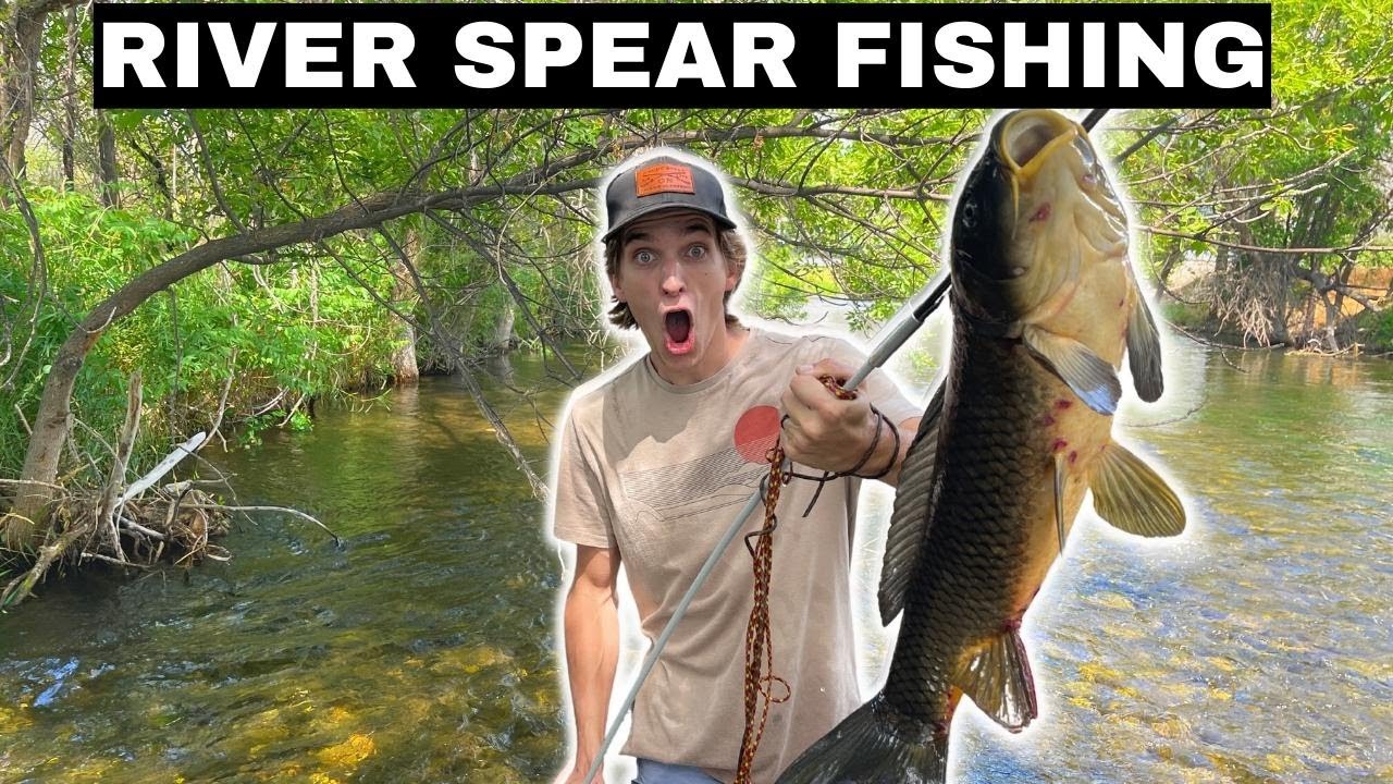 Spearing INVASIVE Fish in the CITY By HAND!!