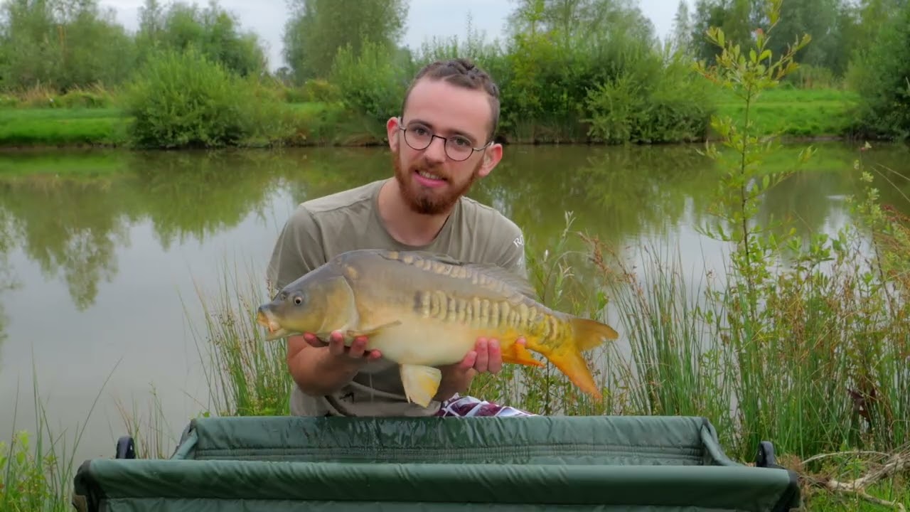 Les carpes deviennent FOLLES au coup !