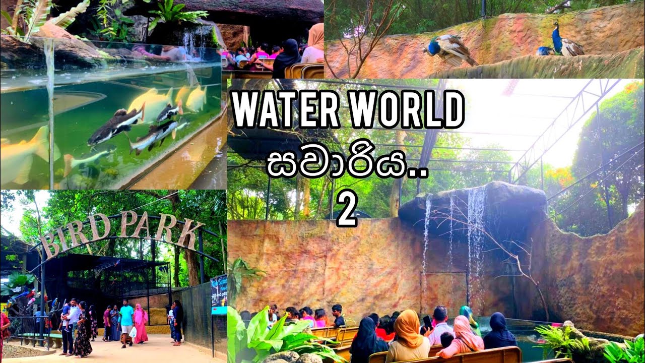 water world සවාරිය (2)❤️🐟 #happiness#love#familytime#familyvlog#waterworld