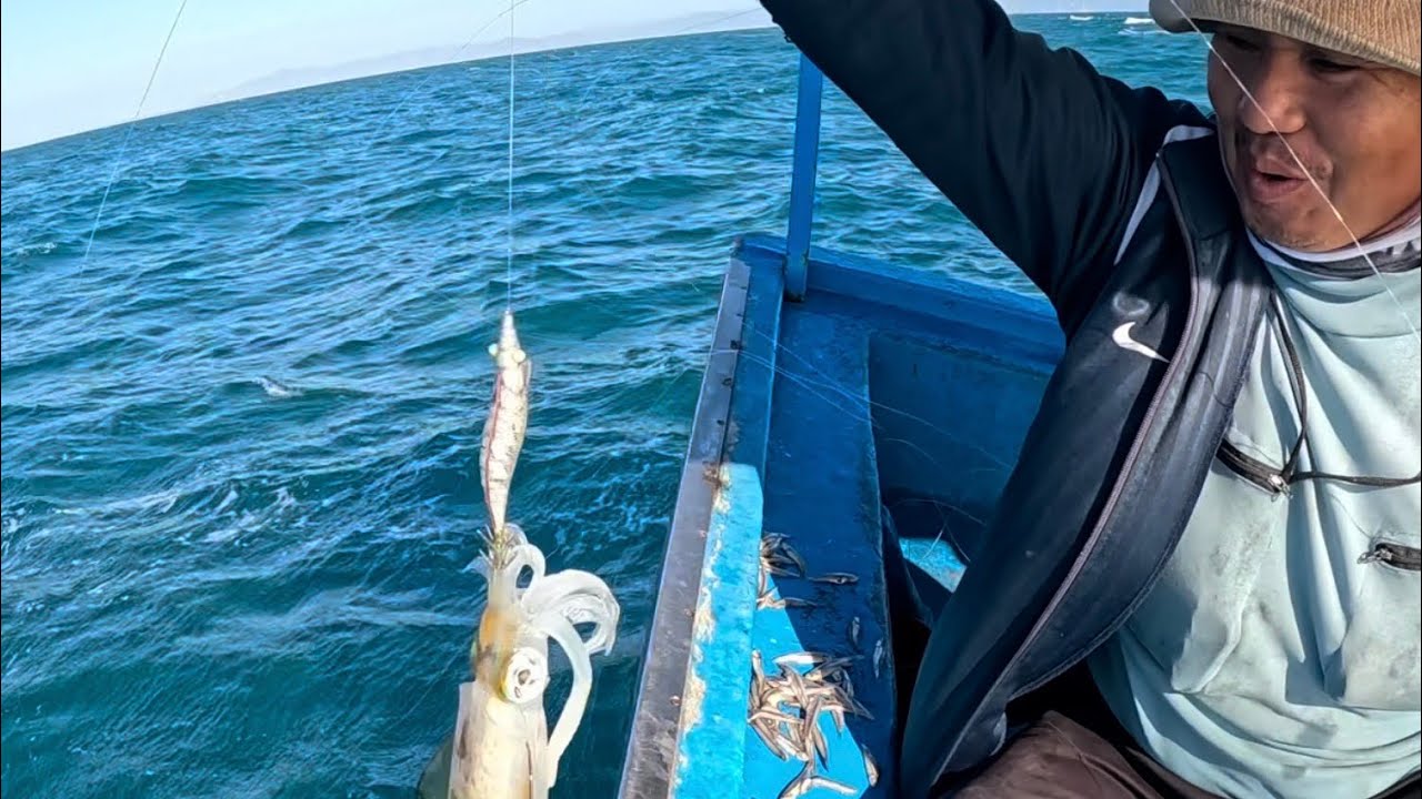 850 ) MƯỜI MẤY KÍ CÁ VÀ MỘT CON MỰC, BÁN ĐƯỢC BAO NHIÊU TIỀN ĐÂY.