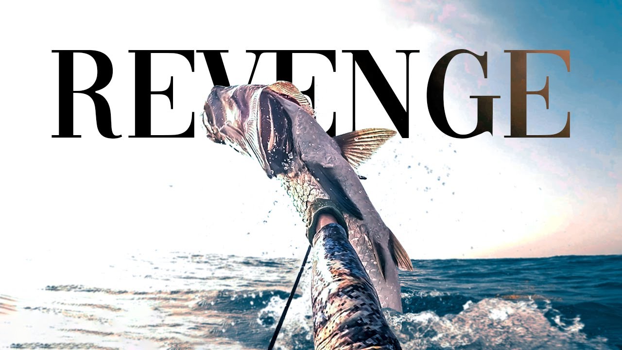 I Got REVENGE on A HUGE Tarpon... (Spearfishing St. Lucia)