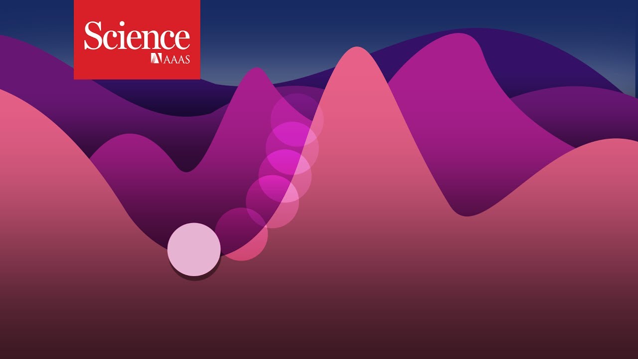 Детективы ИИ взламывают черный ящик глубокого обучения