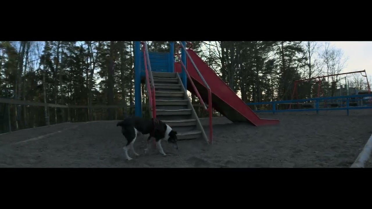 Rico en otoño: vídeo anamórfico con iPhone 17 Pro + BeastGrip (1.55x)