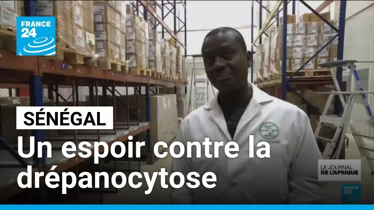 Sénégal : un médicament contre la drépanocytose fabriqué à Dakar redonne espoir • FRANCE 24