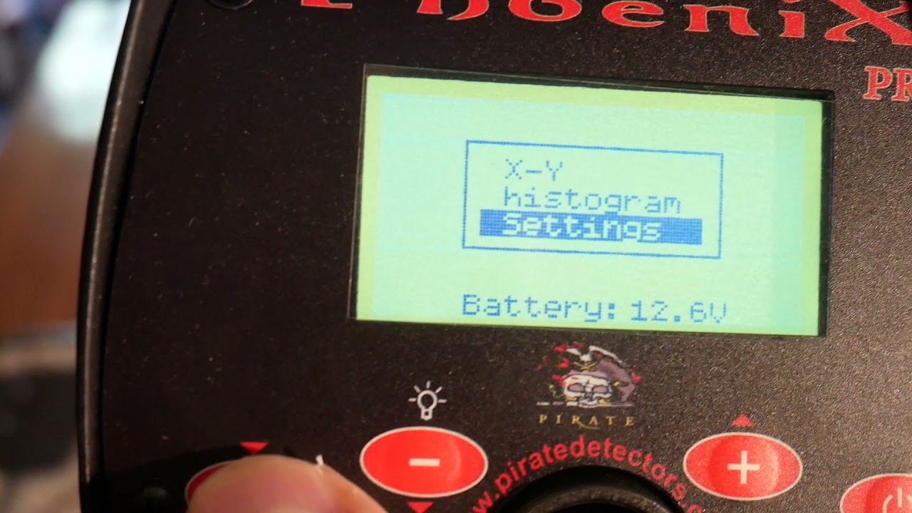 PIRATE PHOENIX PRO METAL DETECTOR PROFESSIONALE DI ALTA GAMMA CERCAMETALLI A BUON PREZZO E VA BENE