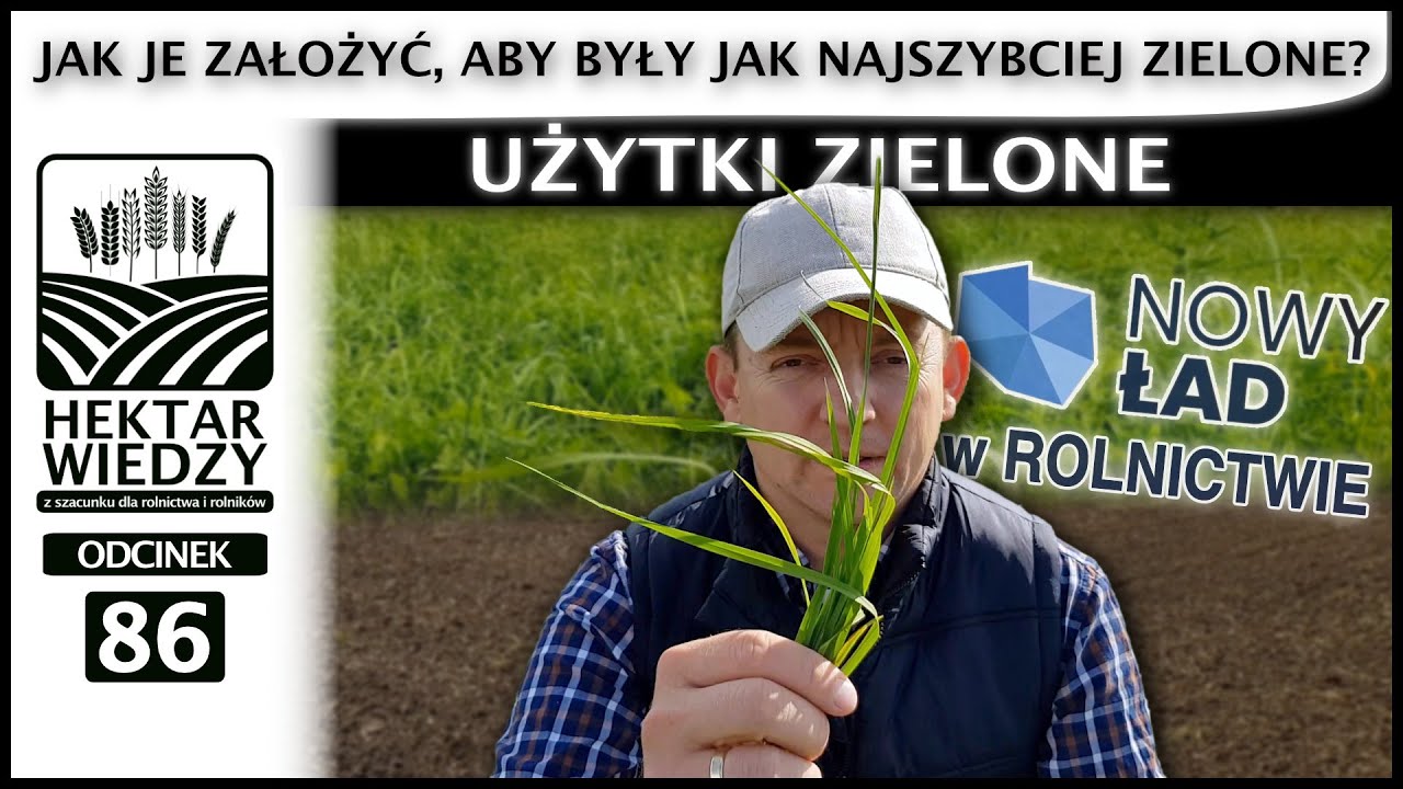 UŻYTKI ZIELONE. CZYLI JAK JE ZAŁOŻYĆ, BY BYŁY JAK NAJSZYBCIEJ ZIELONE? | ODCINEK #86 | #polskiład