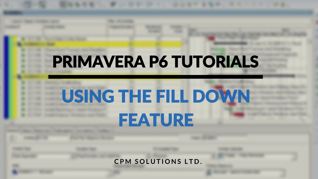 Primavera P6 Tutorial 4 : Using Fill Down