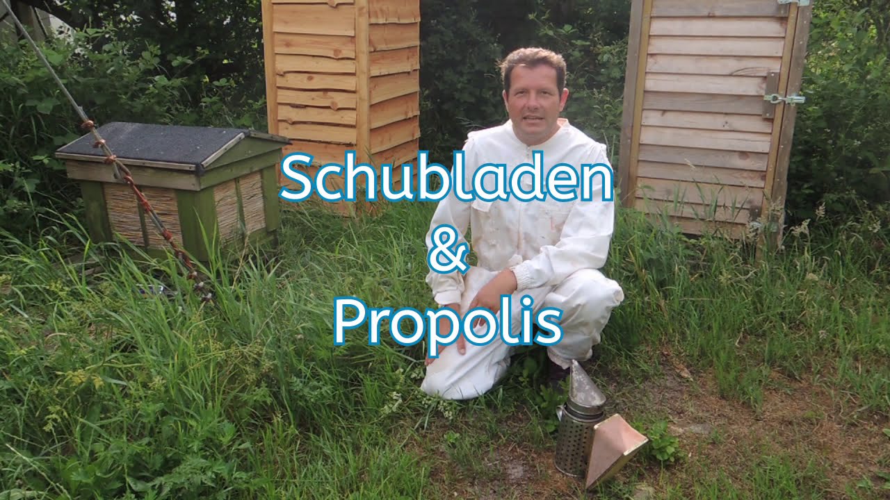Hilfe!! Verklebte Schubladen durch Propolis?! Bienengesundheit ohne Chemie! Artgerecht Imkern leicht