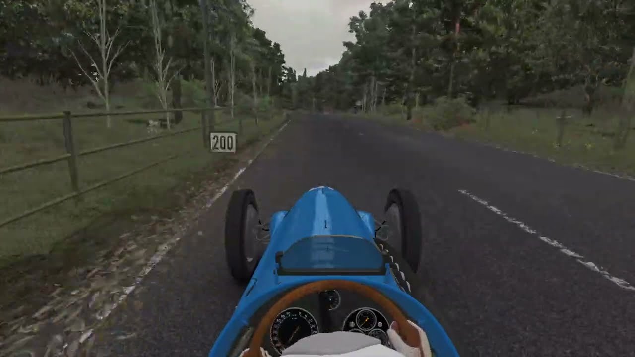 F1 1953 Maurice Trintignant Swiss GP onboard | Assetto Corsa
