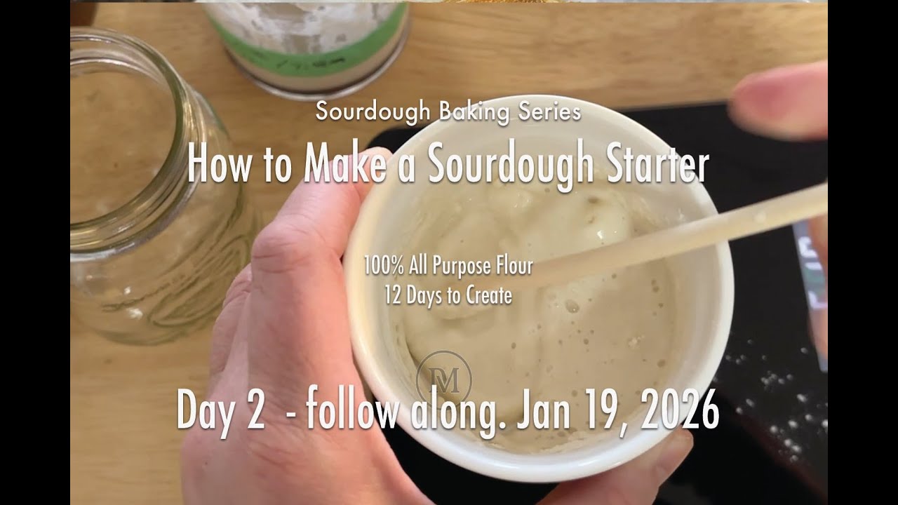 How to Make a Sourdough Starter   Day 2   Day by Day