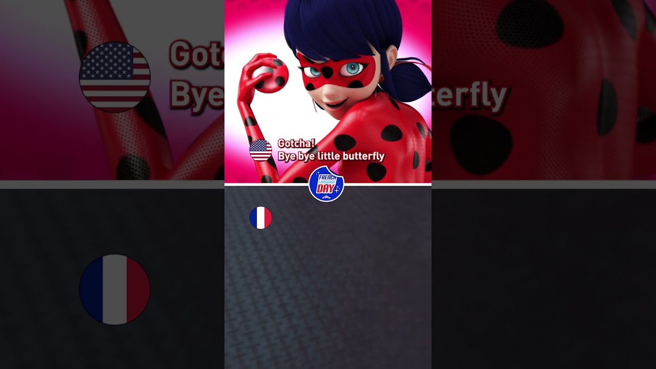 Happy French Language Day! 🇫🇷 #miraculous  #ladybug #miraculousladybug #mlb #catnoir#learnfrench