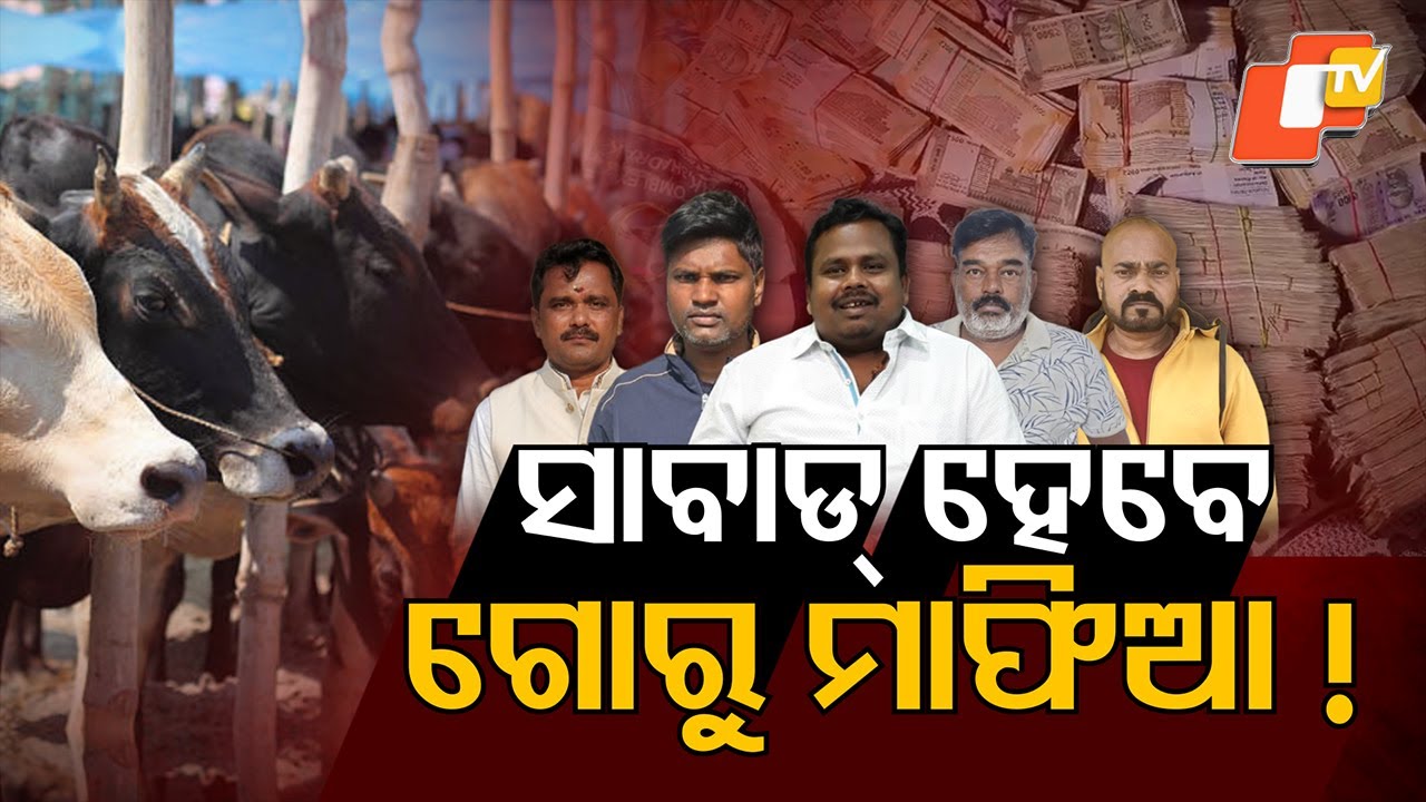 Police Bust Major Cattle Smuggling Racket on NH-49, 7 Arrested