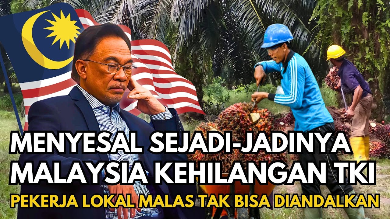 MALAYSIA REGRETS IT SO MUCH! Migrant Workers Expelled, Employers Suffer BIG LOSSES! 😱