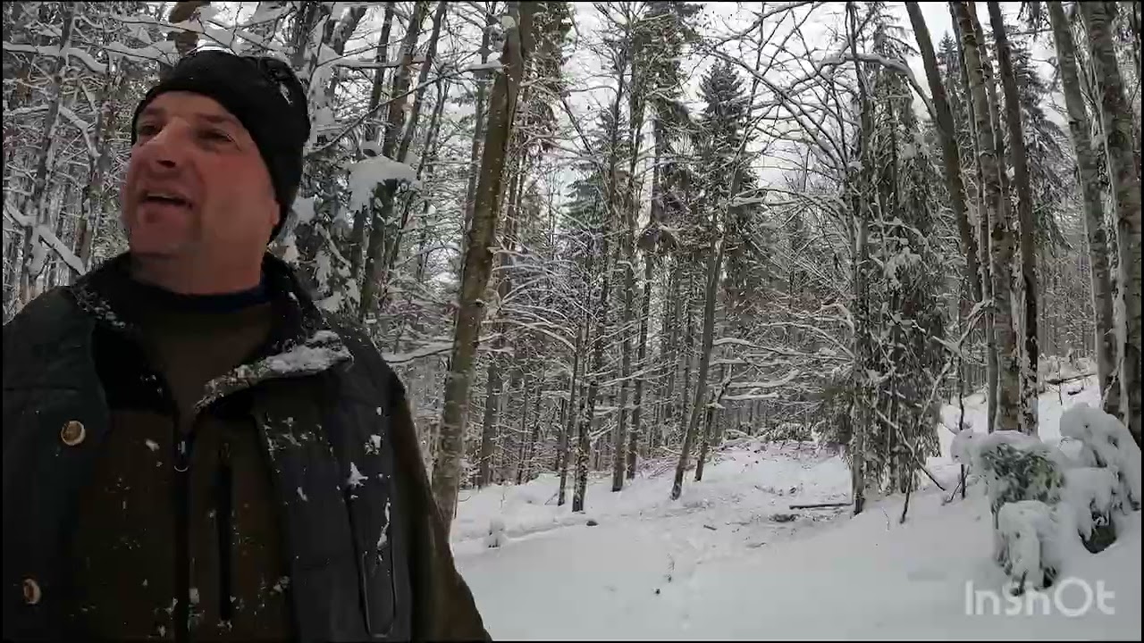 CAII LUI GICU COBUT.MUNCA LA PĂDURE CU CAI 🐎 LUI GICU COBUT.LOC TUREAC.BISTRITA-NASAUD
