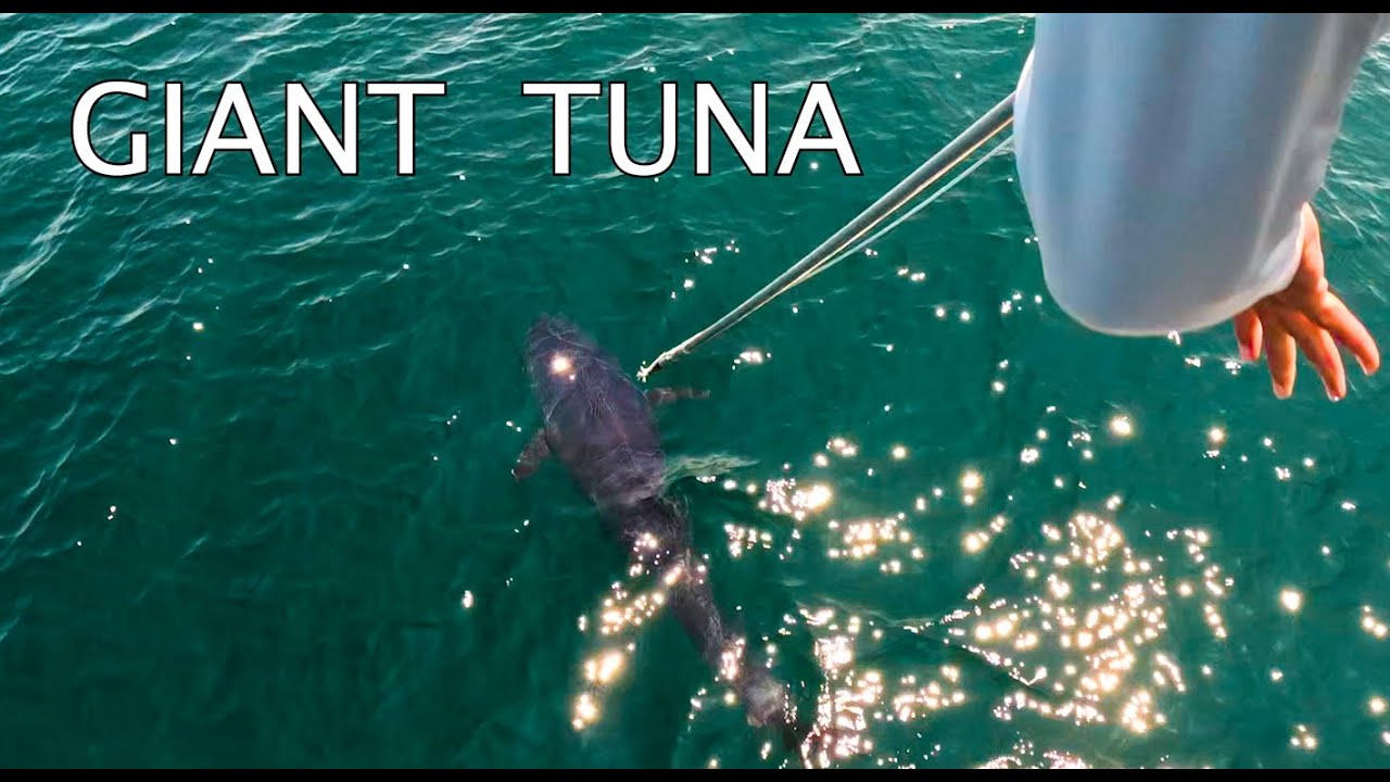 SEA MONSTERS ARE REAL. I STUCK ONE
