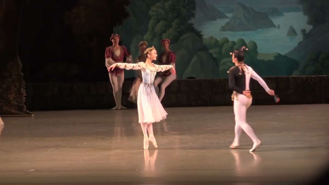May Nagahisa (Mariinsky Ballet) Swan Lake Prince's Friend variation